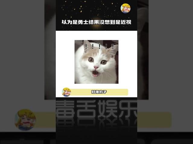 雪豹：你这一叫给我都搞不自信了 #搞笑 #万万没想到#shorts