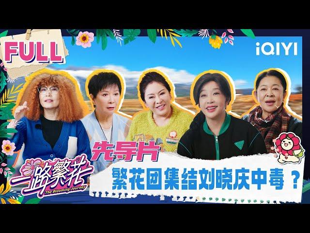 【Multi Sub】Pilot Episode FULL: Is Liu Xiaoqing poisoned? | The Blooming Journey | iQIYI LifeShow