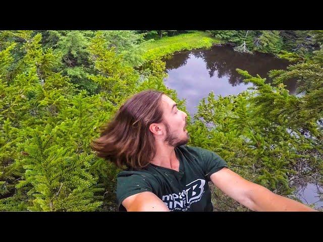 Free Solo Climbing GNARLY Tree Surrounded by Water (Almost Died)