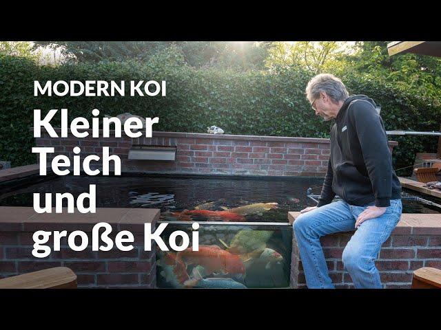 Olafs selbstgebauter 20.000 Liter Teich | Modern Koi Blog #6755