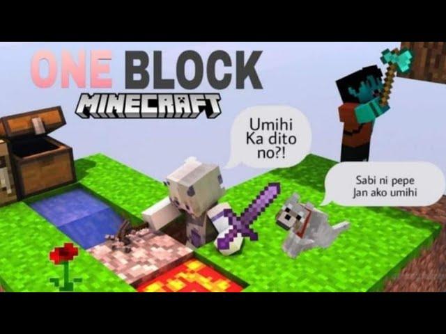 MINECRAFT ONE BLOCK PART 1 WITH PEPESANTV