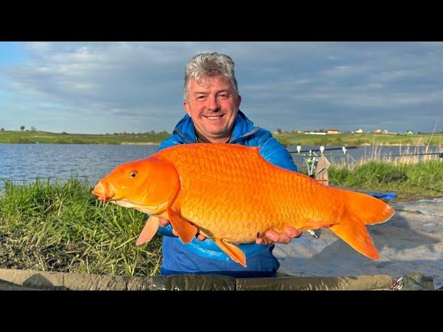 CARP DOESN'T BITE? CORRECT FISHING for carp. How to catch a FULL MOON!