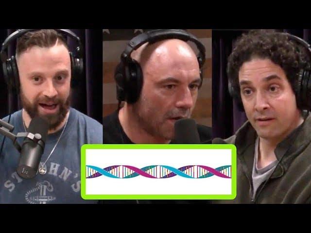 Genes, Pot, and Mental Illness: A Connection? | JRE Pot Debate