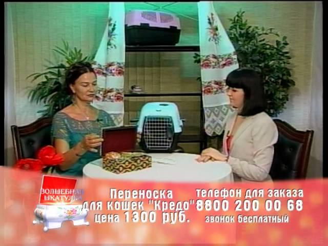 Зоотовары. Волшебная шкатулка.