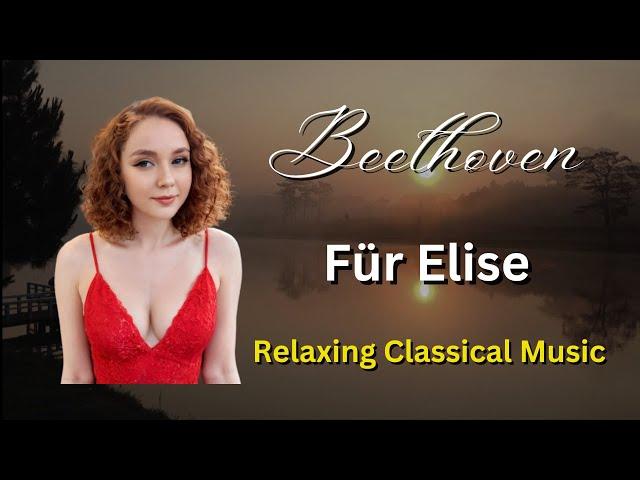 [4K] Relaxing Piano Solo Beethoven Fur Elise Bagatelle No. 25 in A minor, WoO 59 Classical Music