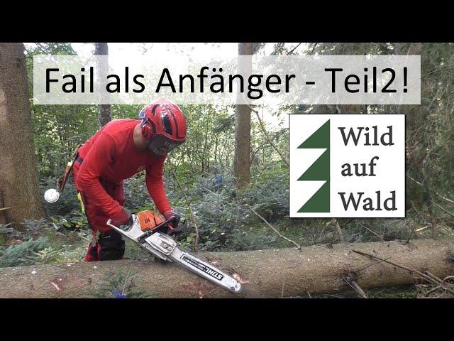 Aufarbeiten Baum: Diese Fehler solltest du niemals machen! #wildaufwald