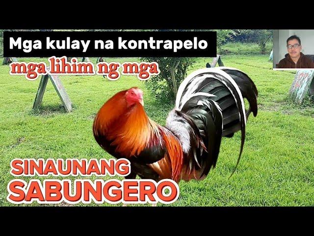 MGA KULAY NA KONTRAPELO | MGA LIHIM NG MGA SINAUNANG SABUNGERO @tpjclassictv