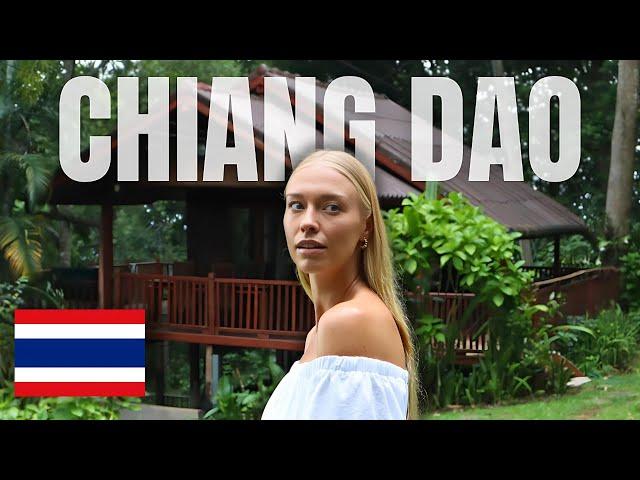 BEAUTIFUL Off-Grid Cabin In The Mountains of Northern Thailand (Full Tour)