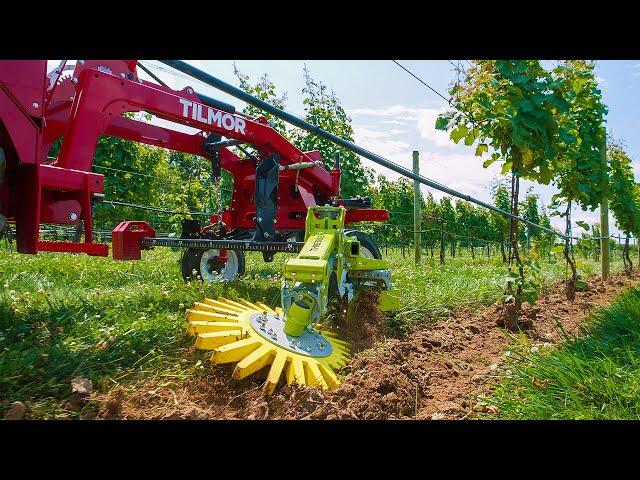 Tilmor Works - Cultivating Vineyards with the ACS