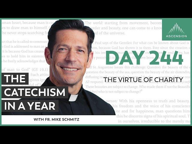 Day 244: The Virtue of Charity — The Catechism in a Year (with Fr. Mike Schmitz)