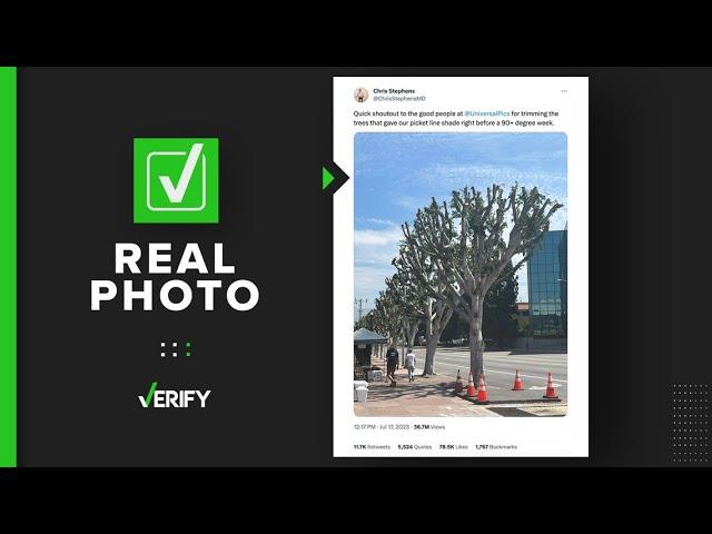 Yes, a photo of trimmed trees outside the NBCUniversal building is real