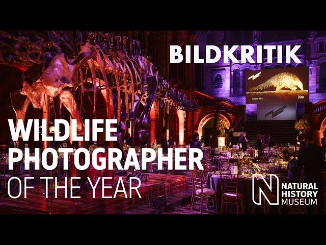 BILDKRITIK - Oskar der Naturfotografie | Wildlife Photographer of the Year 2023