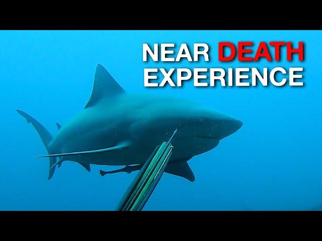 Near Death Experience - Bull Shark Attacks!