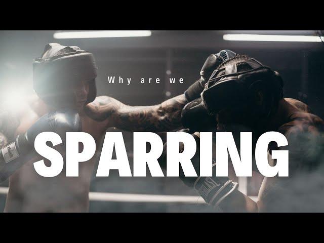 Why do we Spar? Should you spar more?