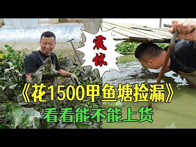 花1500在甲魚塘檢漏，看看到底能不能上貨… #三農 #農村生活 #護外 #小飛哥#抓魚vlog