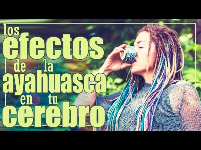 Los EFECTOS de la AYAHUASCA en el CEREBRO