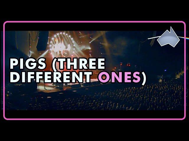 Pigs (Three Different Ones)  - Pink Floyd Song Covered by The Australian Pink Floyd Show