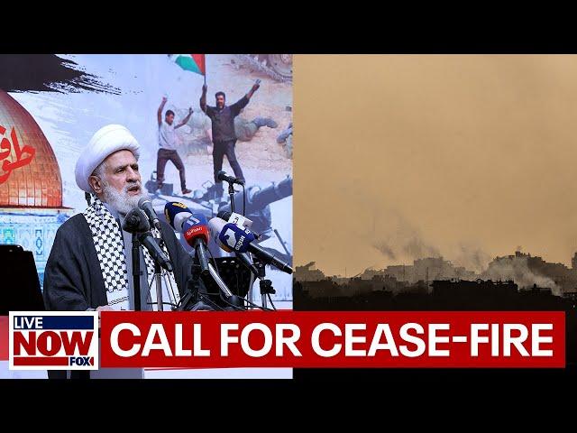 Hezbollah says group would stop fighting Israel after Gaza ceasefire | LiveNOW from FOX
