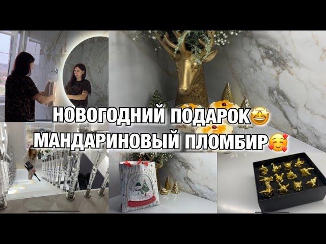 НОЯБРЬСКИЙ ВЛОГ! МУЖСКОЙ ПОДАРОК! МАНДАРИНОВЫЙ ПЛОМБИР! НАВОДИМ ПОРЯДОК! Будни Мамы Влог