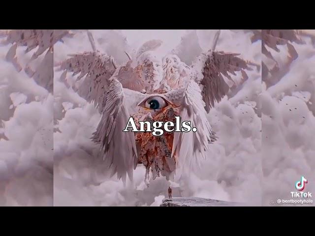 angels. vs angels