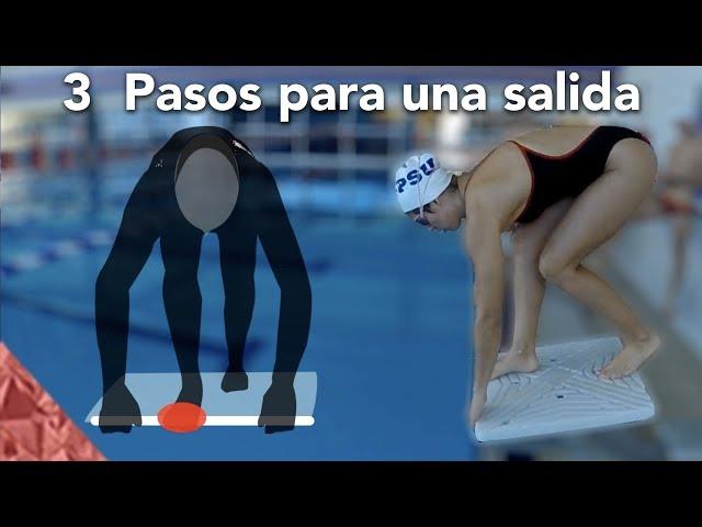 3 steps to learn a competitive start/dive (freestyle, butterfly and breaststroke)