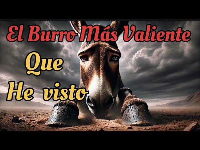 El BURRO Más VALIENTE que Jamás  He Conocido.