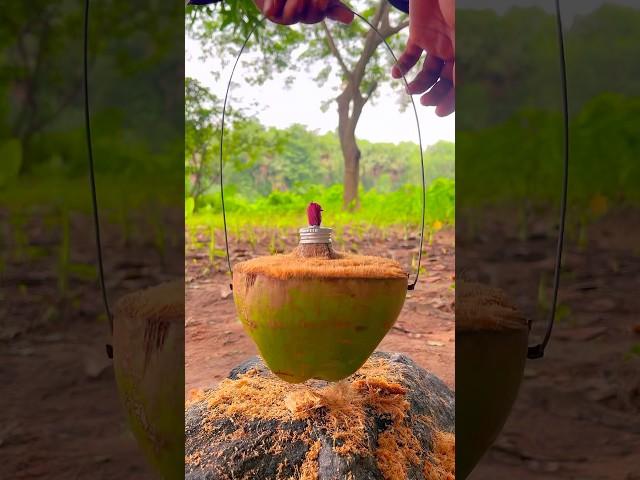 CAMPING HACKS Turn Coconut Into Oil Lamp.#camping #outdoors #bushcraft