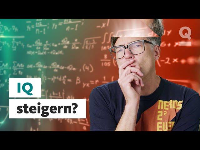 Wie werde ich intelligenter? | Quarks Dimension Ralph