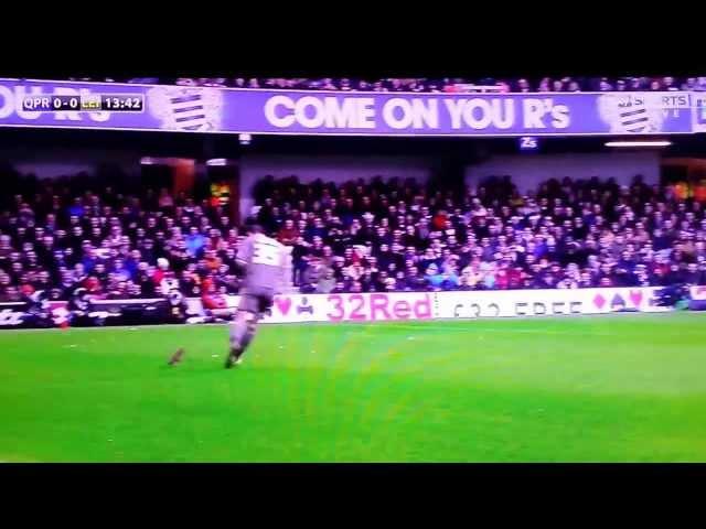 David Nugent chases a squirrel QPR v Leister 2013