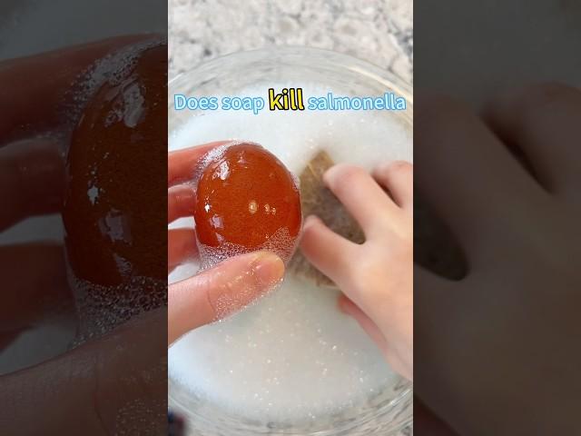 How to Make Your Raw Eggs Salmonella Free ️