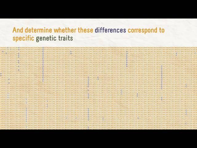 Genetic resistance to malaria