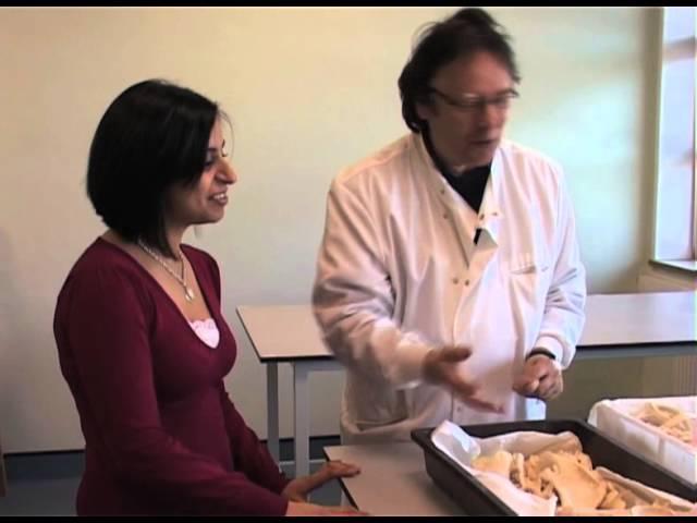 Archaeology at the University of Central Lancashire