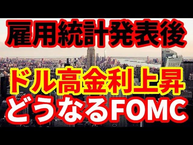 【米国経済】米雇用統計で失業率2年ぶり高水準も雇用者数は増加！ドル高・金利上昇！