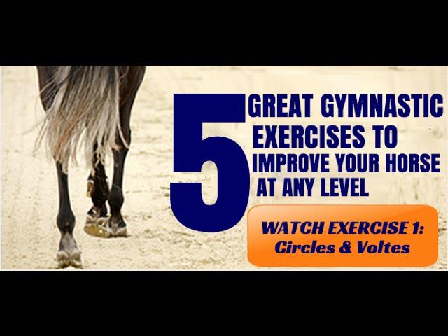 5 Great Gymnastic Exercises to Improve Your Horse At Any Level - Exercise 1