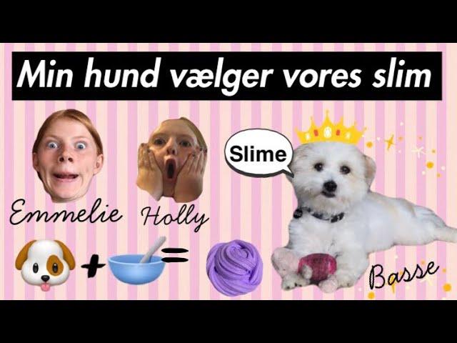 MIN HUND VÆLGER VORES SLIM!!!