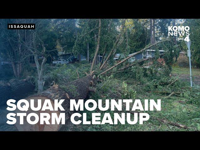 Squak Mountain residents unite to clean up after 'bomb cyclone' devastates neighborhood