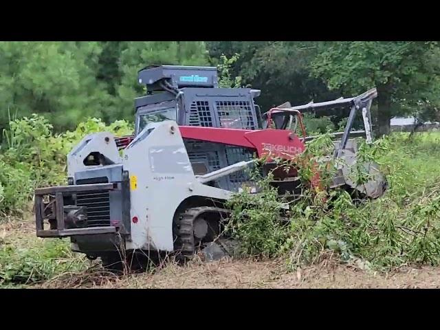 PATH OF DESTRUCTION #skidsteer #trackloader #forestrymulcher #mulching #fae #forestry #destruction