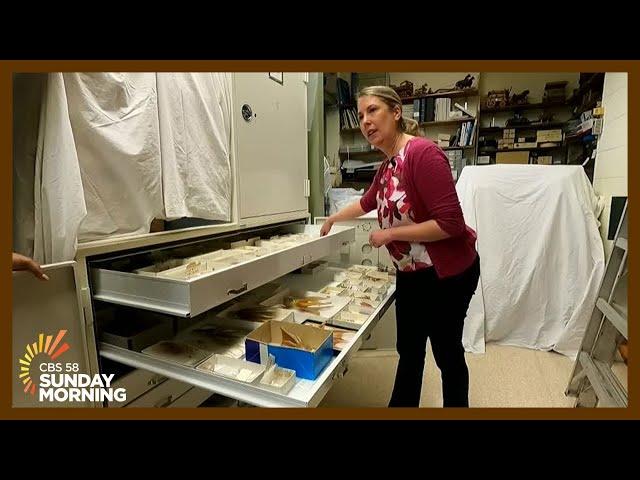 Behind the scenes of Milwaukee Public Museum