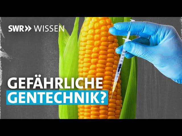 Greenpeace warnt vor grüner Gentechnik – zu Recht? | SWR Wissen