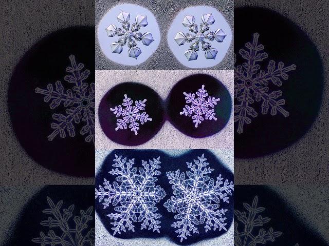 Is every snowflake actually unique?