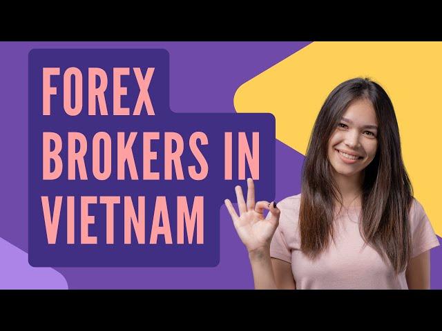 Top 5 Best Forex Brokers in Vietnam for 2025