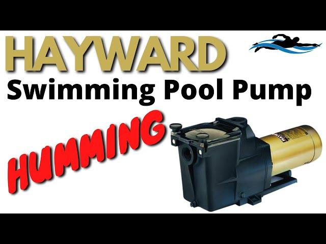 Hayward Pool Pump Motor Humming | Swimming Pool Motor Humming | Pool Pump Hums and Clicks Off