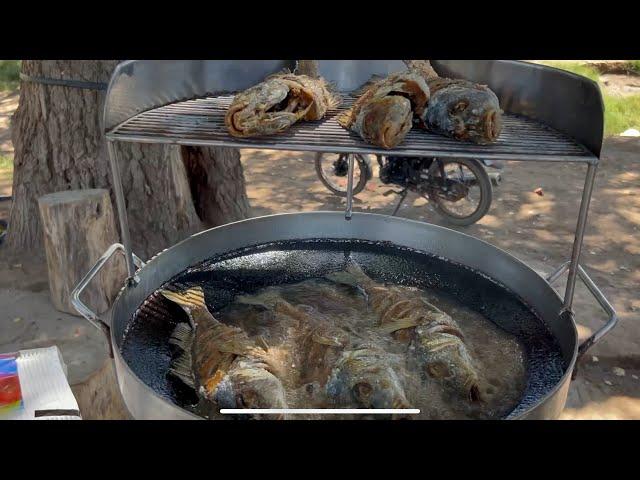 Se nos antojaron unos roncachos fritos en el árbol de la felicidad si te gusta el pescado frito