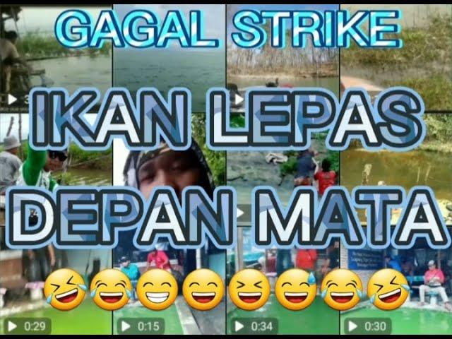 MANCING LUCU BIKIN NGAKAK TERBARU ||IKAN LEPAS DEPAN MATA #MANCING IKAN