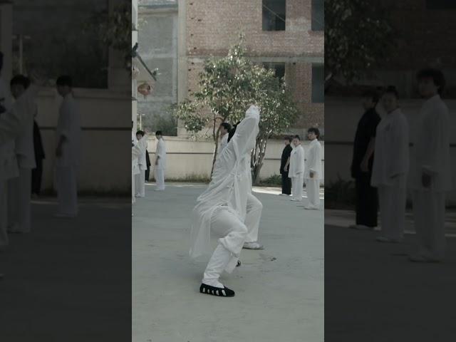 Wudang Mountain Tai Chi is a Hard Martial Art