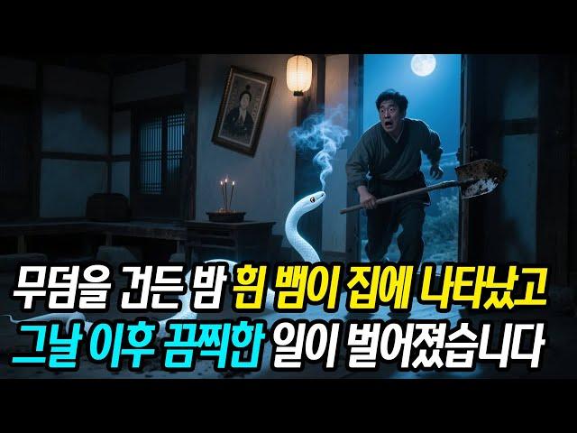 조상 무덤 파헤친 날 밤, 흰 뱀이 집에 들어왔다… 그날 이후 벌어진 소름 돋는 일들