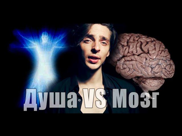 Душа VS Мозг