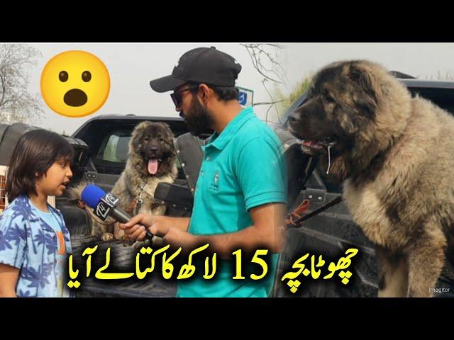 Biggest Dog show F9 Islamabad - bacha 15 lakh ka kutta ly aya