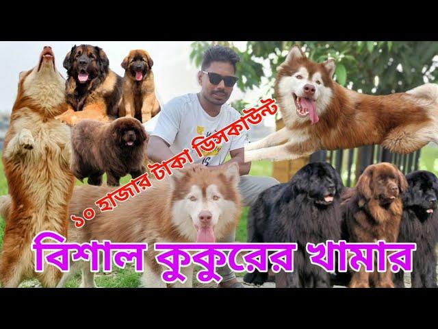 Dog price in Bangladesh | Biggest Dog Form |  Dog price 2023 | Animal market in Bangladesh