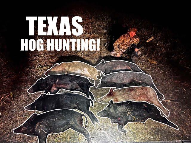 THERMAL HOG AND PREDATOR HUNTING IN TEXAS!